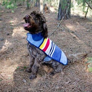 Pendleton Pet Yosemite National Park Dog Coat sz Small